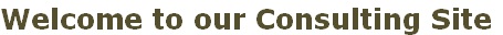 Welcome to our Consulting Site 
